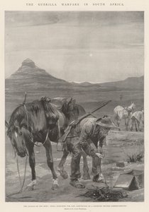 Güney Afrika